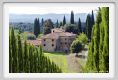 tenuta_di_arceno1154