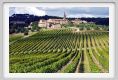 tenuta_di_arceno1155