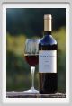 tenuta_di_arceno1186