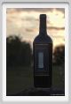 tenuta_di_arceno1188