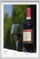 tenuta_di_arceno1190