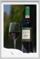 tenuta_di_arceno1191