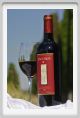 tenuta_di_arceno1193