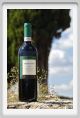 tenuta_di_arceno1194