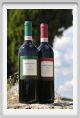tenuta_di_arceno1196