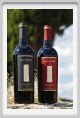 tenuta_di_arceno1197