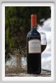tenuta_di_arceno1199
