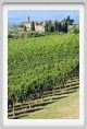 tenuta_di_arceno1114