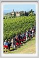 tenuta_di_arceno1115