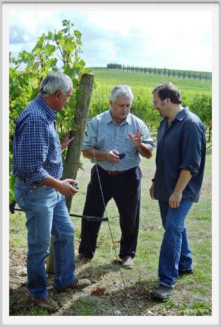 tenuta_di_arceno1211