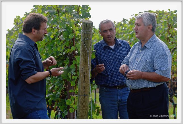 tenuta_di_arceno1218
