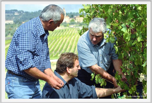 tenuta_di_arceno1220