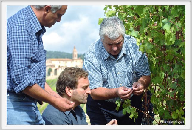tenuta_di_arceno1221