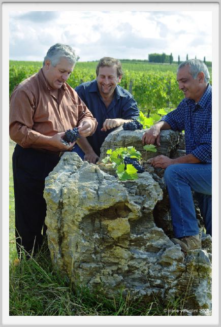 tenuta_di_arceno1230