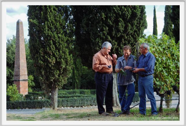 tenuta_di_arceno1246