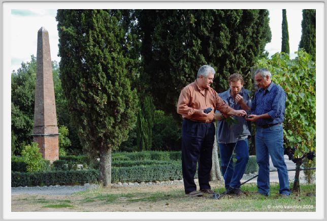 tenuta_di_arceno1247