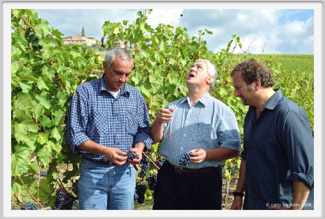 tenuta_di_arceno1206