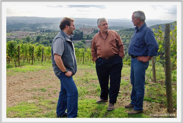 tenuta_di_arceno1255