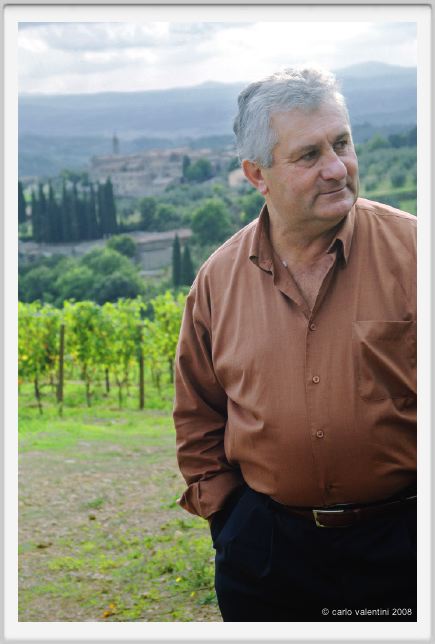 tenuta_di_arceno1260