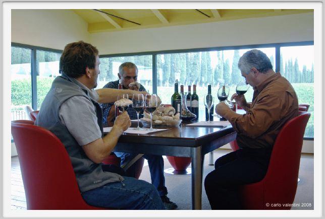 tenuta_di_arceno1273