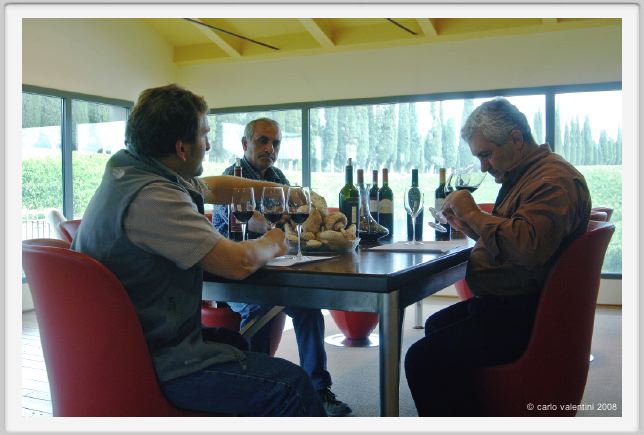 tenuta_di_arceno1275