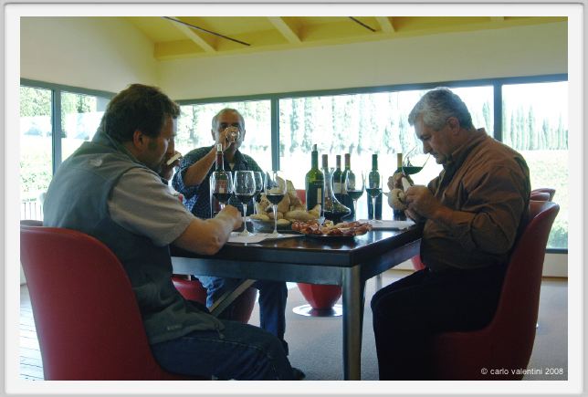 tenuta_di_arceno1277