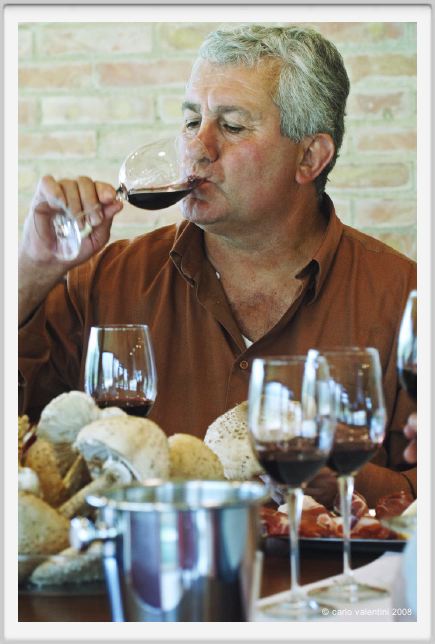 tenuta_di_arceno1288