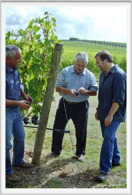 tenuta_di_arceno1210