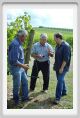 tenuta_di_arceno1211
