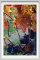 tenuta_di_arceno1313