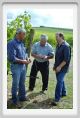 tenuta_di_arceno1212