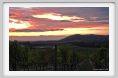 tenuta_di_arceno1332