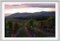 tenuta_di_arceno1334