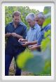 tenuta_di_arceno1213