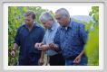 tenuta_di_arceno1214