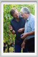 tenuta_di_arceno1215
