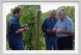 tenuta_di_arceno1217