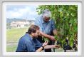 tenuta_di_arceno1219