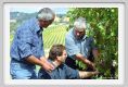 tenuta_di_arceno1220