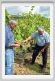 tenuta_di_arceno1203