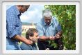 tenuta_di_arceno1221