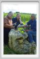 tenuta_di_arceno1229