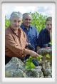 tenuta_di_arceno1237