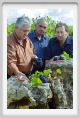 tenuta_di_arceno1238