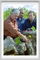 tenuta_di_arceno1239