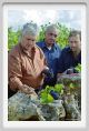 tenuta_di_arceno1240