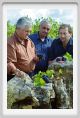 tenuta_di_arceno1241