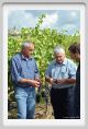 tenuta_di_arceno1205
