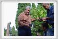 tenuta_di_arceno1249