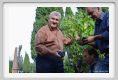 tenuta_di_arceno1251